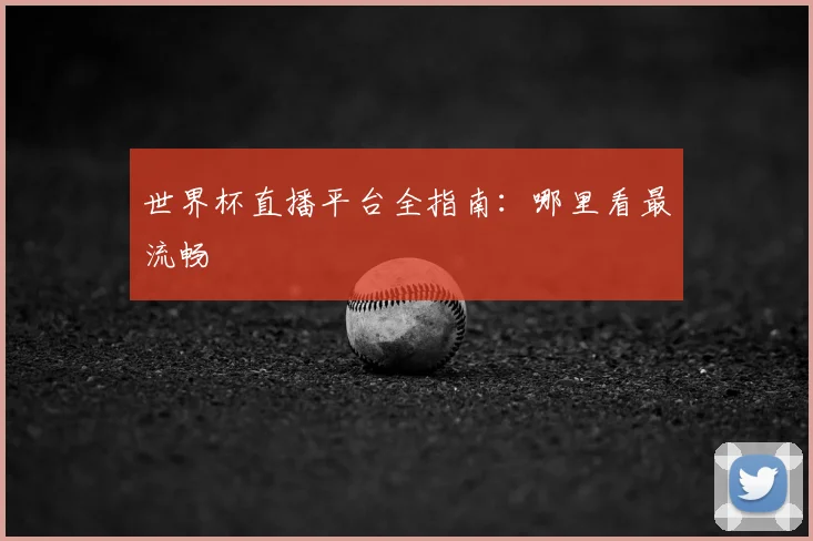 世界杯直播平台全指南：哪里看最流畅