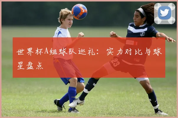 世界杯A组球队巡礼:实力对比与球星盘点