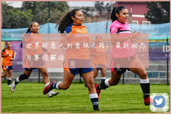 世界杯意大利晋级之路:最新动态与赛程解读